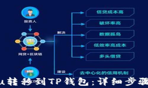 
如何将Kishu转移到TP钱包：详细步骤与注意事项