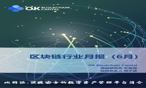 比特派：便捷安全的数字资产管理平台简介