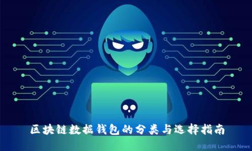 区块链数据钱包的分类与选择指南