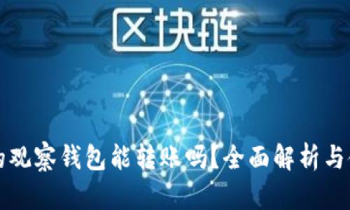 TP钱包的观察钱包能转账吗？全面解析与使用指南