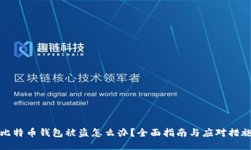 比特币钱包被盗怎么办？全面指南与应对措施