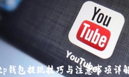 
tp钱包提现技巧与注意事项详解