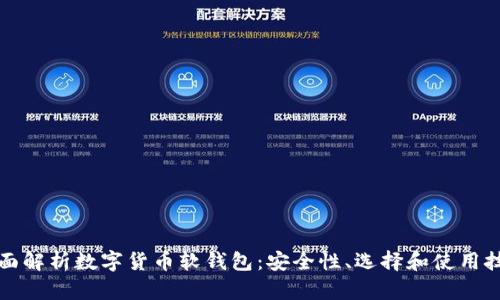 全面解析数字货币软钱包：安全性、选择和使用技巧