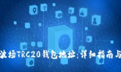 如何下载波场TRC20钱包地址