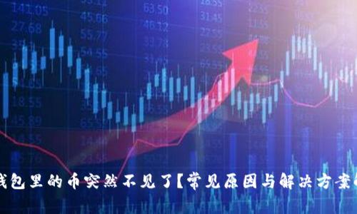 TP钱包里的币突然不见了？常见原因与解决方案解析
