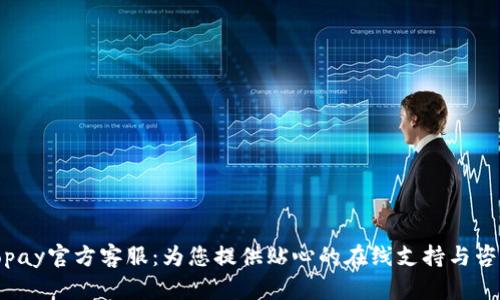Topay官方客服：为您提供贴心的在线支持与咨询