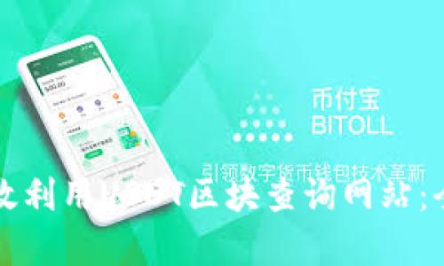 如何有效利用USDT区块查询网站：全面指南