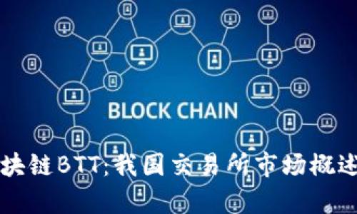 深入了解区块链BTT：我国交易所市场概述与前景分析