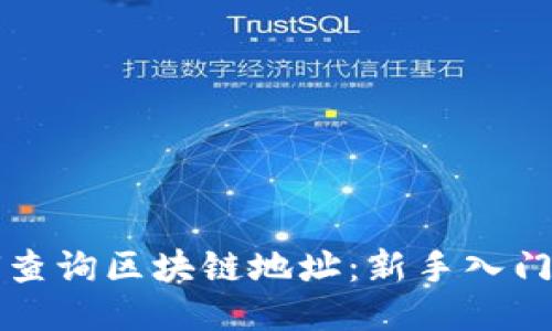 如何查询区块链地址：新手入门指南
