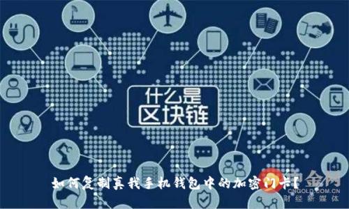 如何复制真我手机钱包中的加密门卡？