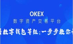 如何查看数字钱包等级：