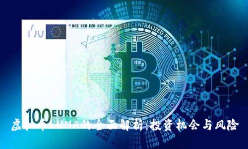 虚拟币LUNA的全面解析：投资机会与风险