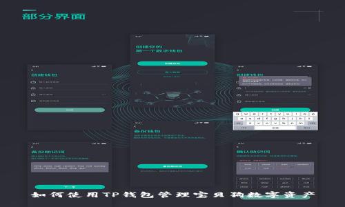 如何使用TP钱包管理宝贝狗数字资产