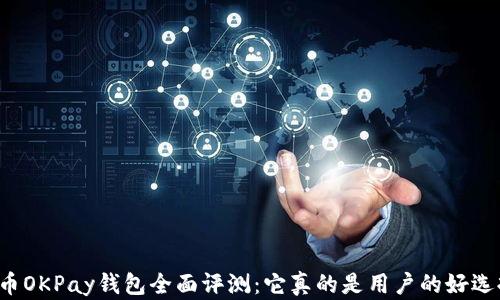 
虚拟币OKPay钱包全面评测：它真的是用户的好选择吗？