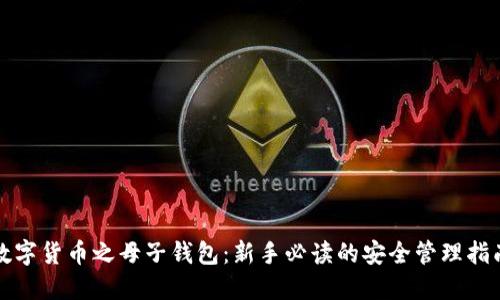 数字货币之母子钱包：新手必读的安全管理指南