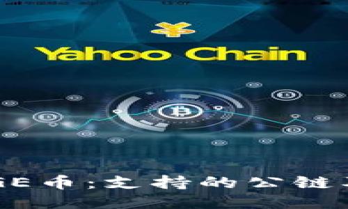 TP钱包与DOGE币：支持的公链及其优势探讨
