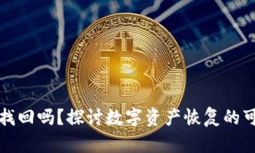TP钱包支持找回吗？探讨数字资产恢复的可能性与流程