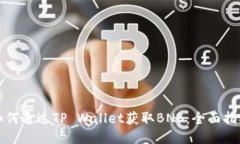 如何通过TP Wallet获取BNB：