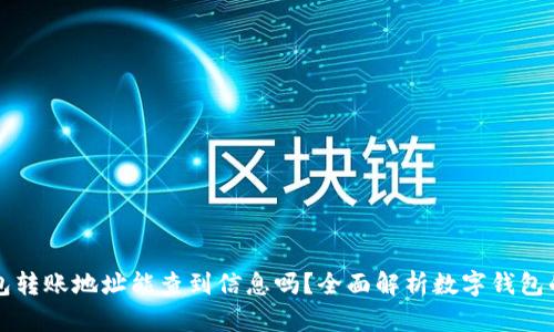 ### TP钱包转账地址能查到信息吗？全面解析数字钱包的隐私与安全