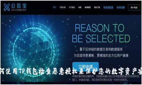 如何使用TP钱包检查恶意授权来保护您的数字资产安全