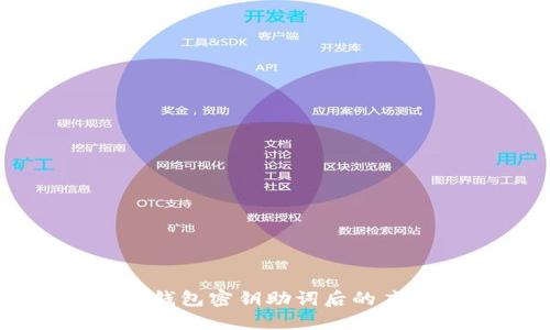 丢失TP钱包密钥助词后的应对指南
