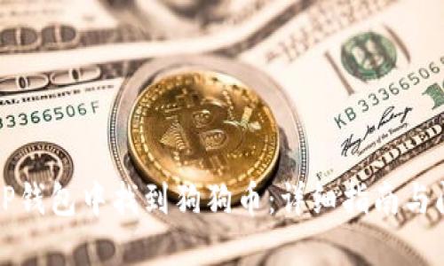 如何在TP钱包中找到狗狗币：详细指南与问题解答