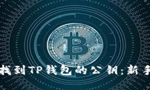 如何找到TP钱包的公钥：新手指南