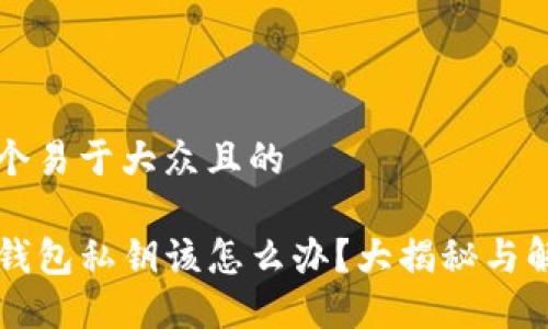 思考一个易于大众且的

忘记TP钱包私钥该怎么办？大揭秘与解决方案