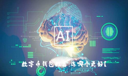 数字币钱包推荐：选哪个更好？