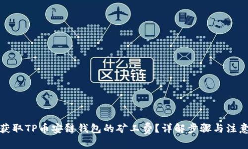 如何获取TP币安链钱包的矿工费？详解步骤与注意事项