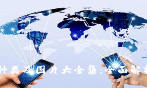 区块链钱包种类及图片大全集：全面解析与实用指南
