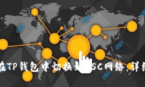如何在TP钱包中切换到BSC网络：详细指南
