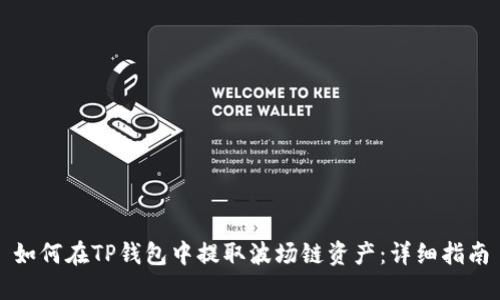如何在TP钱包中提取波场链资产：详细指南