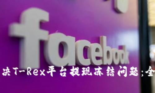 如何解决T-Rex平台提现冻结问题：全面指南