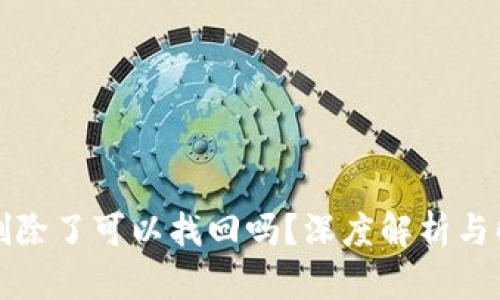 TP钱包删除了可以找回吗？深度解析与解决方案
