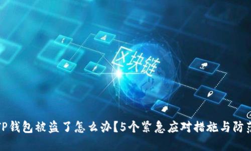 最近TP钱包被盗了怎么办？5个紧急应对措施与防范技巧