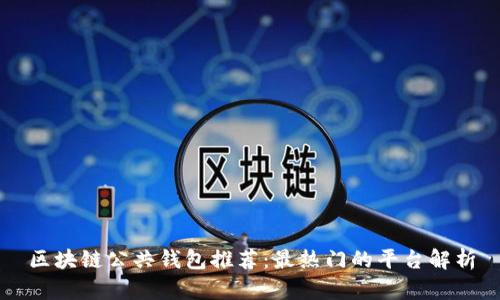 区块链公共钱包推荐：最热门的平台解析