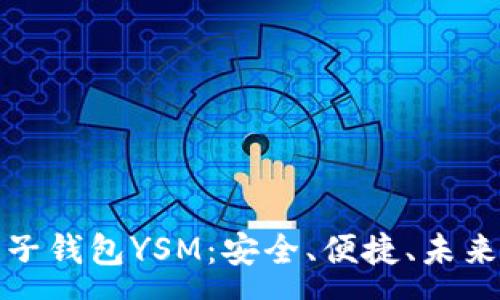 :
全面解析电子钱包YSM：安全、便捷、未来的发展趋势