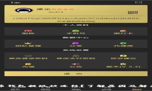 虚拟币钱包提现被冻结？了解原因及解决方法