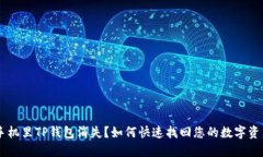 手机里TP钱包消失？如何快