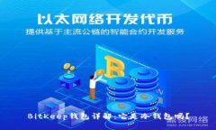 BitKeep钱包详解：它是冷钱包吗？