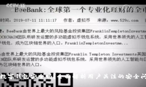 TP数字钱包安全吗？全面解析用户关注的安全问题