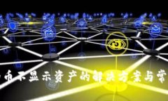 TP钱包中的币不显示资产的解决方案与常见问题解