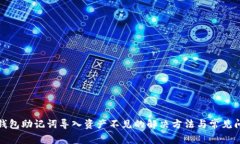 TP钱包助记词导入资产不见
