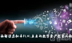 全面解读虚拟币FLM：未来