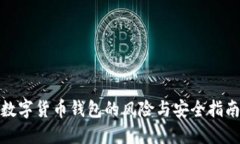 数字货币钱包的风险与安全指南