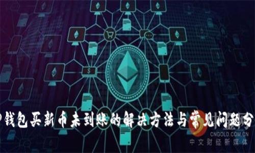TP钱包买新币未到账的解决方法与常见问题分析