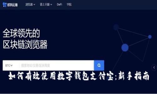 如何有效使用数字钱包支付宝：新手指南