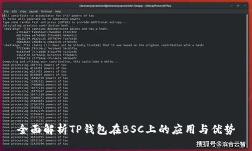 全面解析TP钱包在BSC上的应用与优势