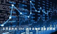 关于虚拟币 RNA 的全面解析